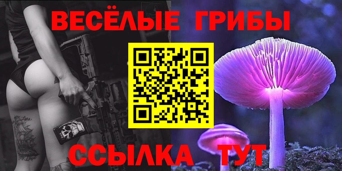 Верхний Уфалей  Псилоцибиновые грибы Psilocybine cubensis  Вход с VPN 